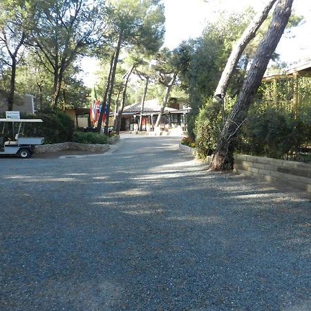 Camping Casa Di Caccia Marina Di Bibbona Exterior photo