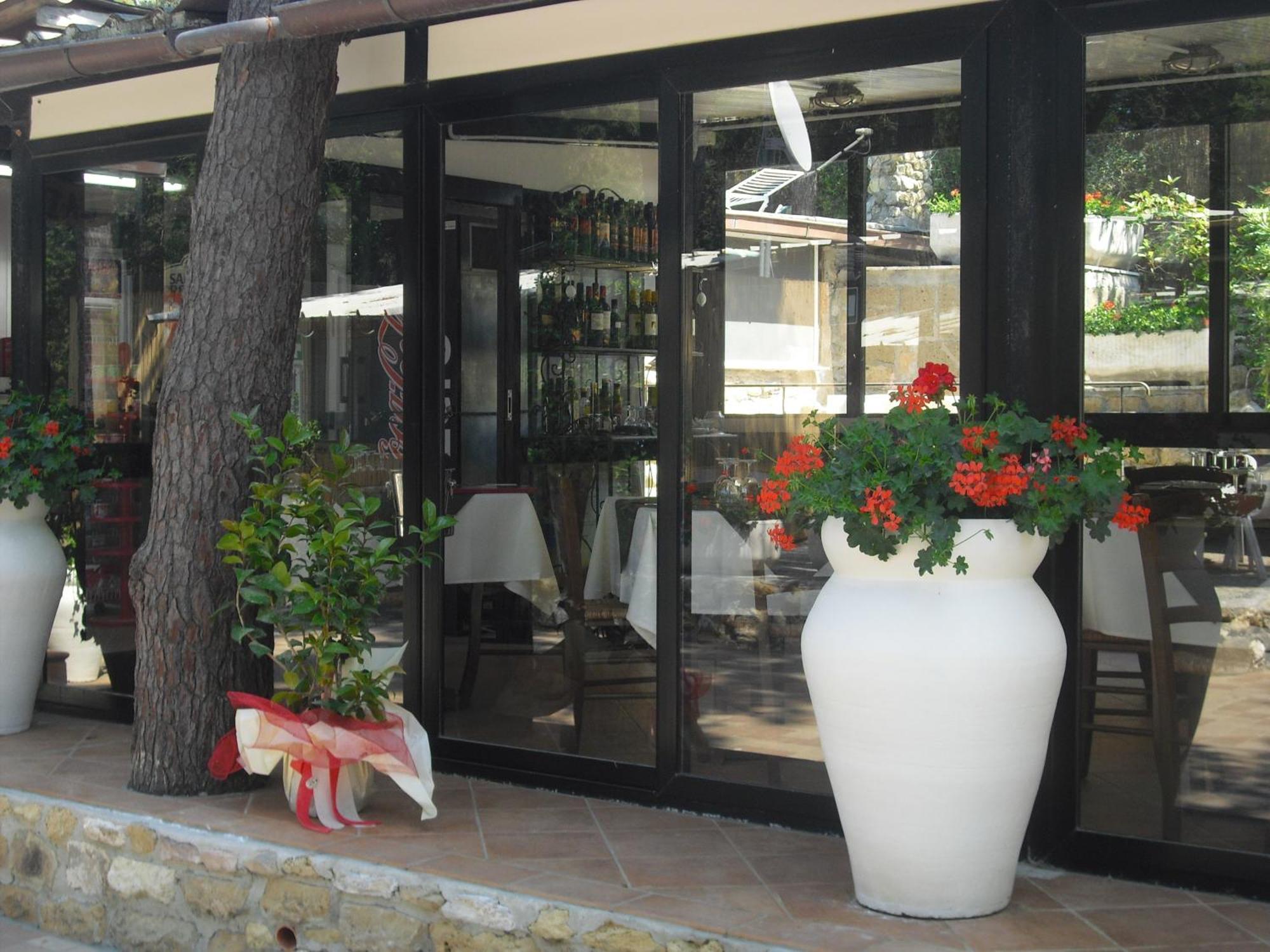 Camping Casa Di Caccia Marina Di Bibbona Exterior photo
